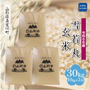 【ふるさと納税】＜配送時期が選べて便利な定期便＞ 令和6年産 真室川町 雪若丸 ＜玄米＞ 30kg定期便（10kg×3回お届け）