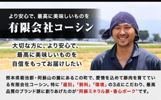 香心ポーク 肉肉セット 約2.8kg以上 コーシン《30日以内に出荷予定(土日祝除く)》 熊本  豚肉 豚 もも肉 モモ肉 ---so_fksnnknk_30d_23_42000_2800g---