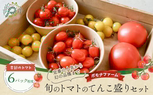 旬のトマトのてんこ盛りセット  トマト とまと 完熟トマト ミニトマト 大玉トマト ファーストトマト セット 詰め合わせ リコピン 薄皮 野菜 ベジタブル 果物  完熟 美味しい 新鮮 やさい フルーツ サラダ 三重県 多気町 PF-011