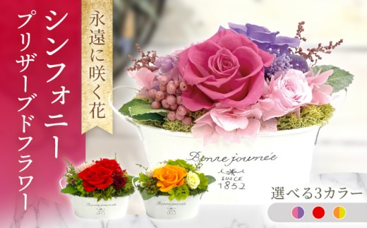 【オレンジ×グリーン】シンフォニー プリザーブドフラワー アレンジメント お花ギフト / 大村市 サニーサイドファクトリー [ACCK052]