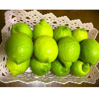 ふるさと納税 印南町 印南町産　レモン　2kg