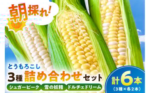 【千葉県産】朝採れとうもろこし3種詰め合わせセット（3種×各2本 計6本） mi0113-0002 【野菜 旬 食べ比べ 詰め合わせ 高糖度 生食可】