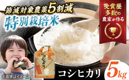 【特別栽培米】コシヒカリ 5kg [AQCQ012] 米 白米