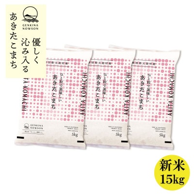 秋田県産 予約受付開始!あきたこまち【令和7年産】無洗米15kg(5kg×3)《10月中旬より発送》【配送不可地域：離島・沖縄県】