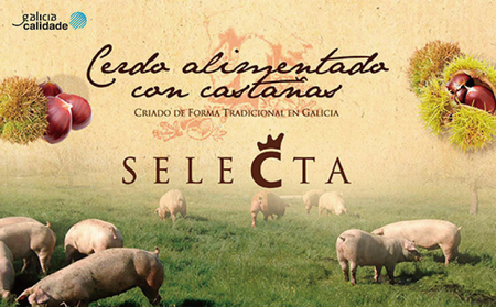 タレ漬け生姜焼き用 栗豚の切り落とし肉 900g（300g×3パック）