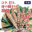 B020【ふるさと納税】活き締め冷凍車えび500g×4