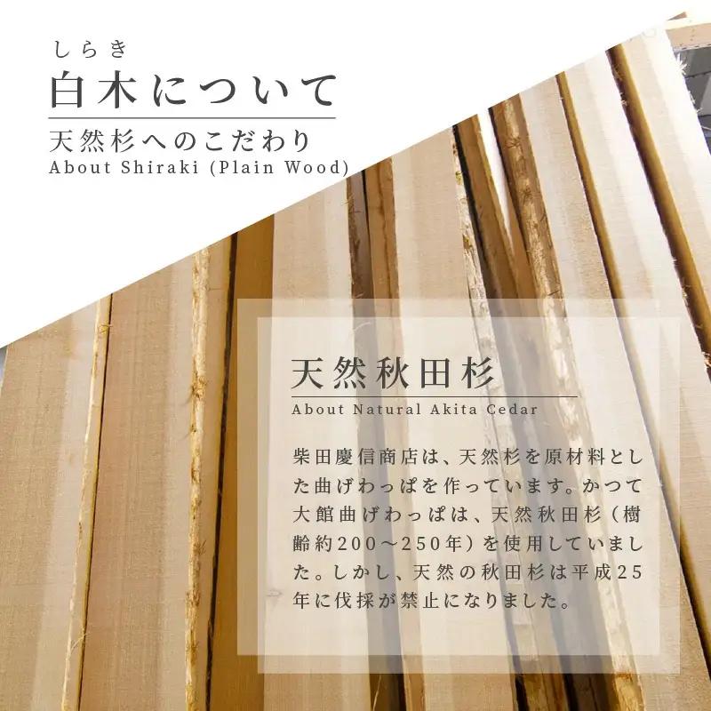 【大館曲げわっぱ】白木　長手弁当箱(小) 【配送日指定不可】　245P6002
