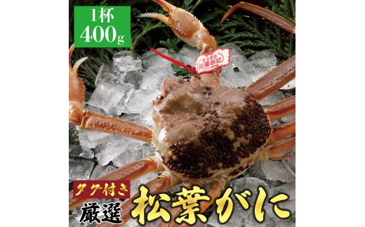774.【活】≪2025年12月～2026年1月発送≫ 特撰 松葉がに【ブランドタグ付き】 400g超×1杯【ブランド 蟹 タグ付き 生 ナマ かに 松葉ガニ 松葉蟹 訳あり カニ味噌 みそ 家庭用 鳥取県産 北栄町 おすすめ 人気】