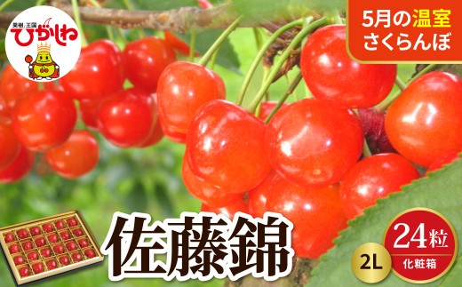 【2027年産 先行予約】 採れたて！5月の温室さくらんぼ「佐藤錦」 秀2L 24粒化粧箱 山形県 東根市 晴天畑提供 hi026-069-r9 サクランボ フルーツ 果物 くだもの 加温 佐藤錦 期間限定 先行受付 24粒 化粧箱入り 冷蔵配送 グルメ ご当地 特産直送