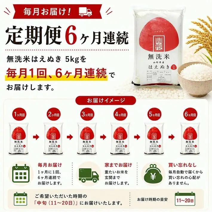 (11月～4月)≪6ヶ月定期便≫ 無洗米 はえぬき 5kg×6ヶ月連続 計30kg 山形県産 毎月中旬にお届け 東北 山形県 遊佐町 庄内地方 精米 白米 セット 阿部ベイコク[1738T11]