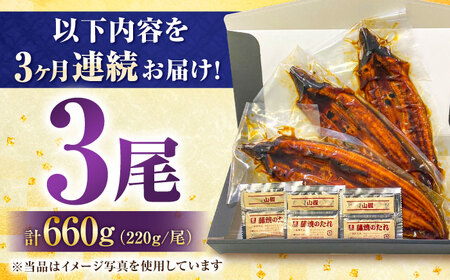 【全3回定期便】中国産 特大うなぎ蒲焼 計660g（220g×3尾）吉野ヶ里町/株式会社フジマキ うなぎ ウナギ 蒲焼[FDM011]