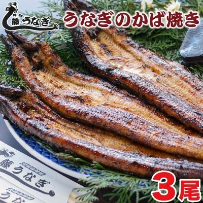ふるさと納税 西都市 藤うなぎ　かば焼き　3尾　国産うなぎ 宮崎 蒲焼 鰻[3222]