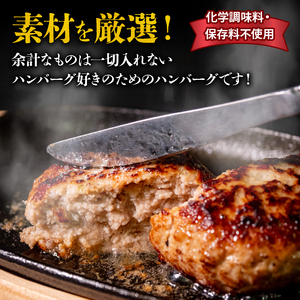 ハンバーグ 四万十ポーク 入り 2.4kg 200g 12個入 化学調味料 不使用 ﾊﾝﾊﾞｰｸﾞ 保存料 無添加 ﾊﾝﾊﾞｰｸﾞ 高知県 須崎市 ﾊﾝﾊﾞｰｸﾞ 合挽き ﾊﾝﾊﾞｰｸﾞ肉汁たっぷり 