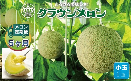 【毎月定期便】クラウンメロン(白等級) 小玉1玉 全5回 7125