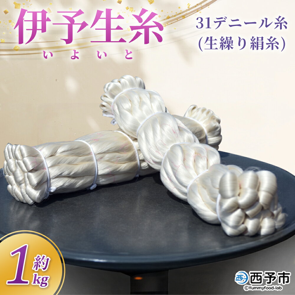 【ふるさと納税】＜伊予生糸（31デニール糸）約1kg＞ 国産 伊予生糸 いよいと 伊予 生糸 国産生糸 西予産 GI登録 絹糸 白生糸 日本製 生繰り式 国産繭使用 友禅染め 染色 手織り 組紐 糸 伝統工芸 愛媛県西予市蚕糸業振興協議会 西予市【常温】『1か月以内に順次出荷予定』