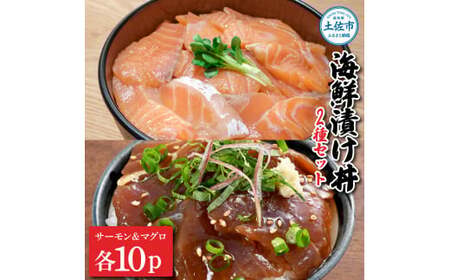 土佐の海鮮漬け丼（サーモン・まぐろ）各10袋セット 1パック60g 漬け丼 海鮮丼 マグロ丼 サーモン丼 鮪 まぐろ おかず おつまみ 惣菜 魚介類 海鮮 個包装 小分け 【企業組合　宇佐もん工房】 [BQAB043]