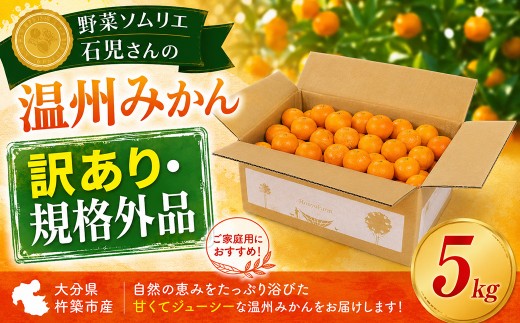 【訳あり・規格外品】野菜ソムリエ石児さんの「温州みかん 5kg」／ ミカン みかん 蜜柑 柑橘 5kg 5キロ 柑橘類 訳あり 甘い 温州みかん フルーツ 先行予約 11月 12月 1月 11月発送 12月発送 1月発送  ＜103-036＞