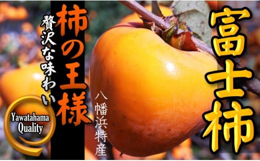 
高糖度で滑らかな食感!八幡浜が誇るブランド柿「富士柿」＜C28-32＞【1089670】
