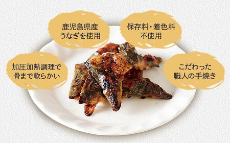 【鹿児島県大隅産】千歳鰻 うなぎの頭のペットフード 1袋3個入り×10袋