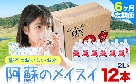 【6ヶ月定期便】水 熊本 の おいしい お水 阿蘇 メイスイ 天然水 2L × 12本 2ケース 丸富産業《お申込み月の翌月から出荷開始》熊本県 御船町 水 天然水 みず 熊本 飲料 熊本県 ミネラルウォーター