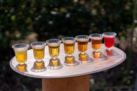 ハーブティー レモンレモン 約62杯分(31teabags) _CR09