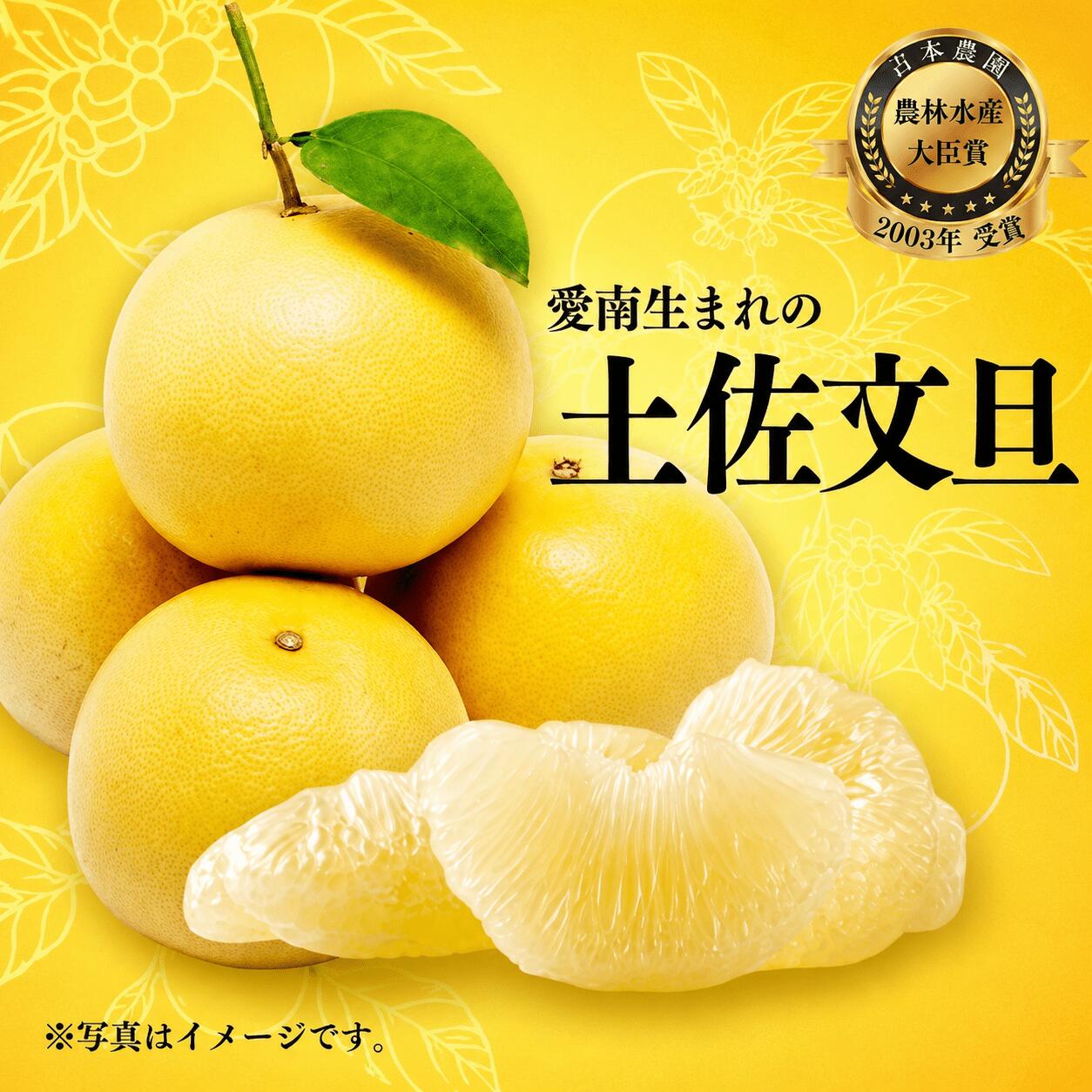 【ふるさと納税】 文旦 選べる規格 容量 約4kg 約5kg 約6kg 傷み補償付き 家庭用 訳あり小玉 贈答用 発送:3月上旬〜なくなり次第終了 ぶんたん 柑橘 蜜柑 春 旬 フルーツ 果物 かんきつ 愛媛県愛南町 愛媛 愛南 吉本農園