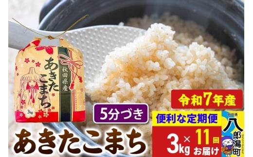 《定期便11ヶ月》【新米】 あきたこまち 3kg×1袋【5分づき】令和7年産 秋田県産 こまちライン