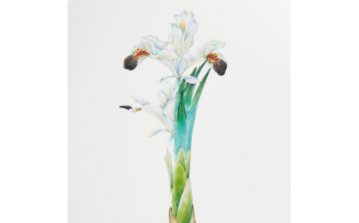 【伊万里焼】プレート 平皿 Iris φ29cm Plate H836_イメージ4