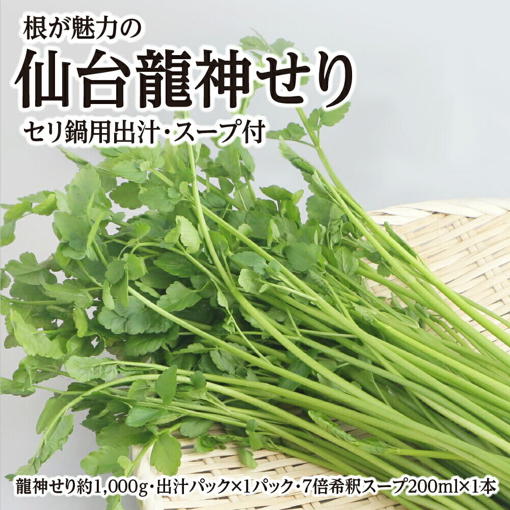 【期間限定】根が魅力の仙台龍神せり鍋出汁セット（セリ鍋用出汁・スープ付）(1,000ｇ)9～10人前 [せり鍋 仙台名物 冬 ごちそう 惣菜 セリ]
