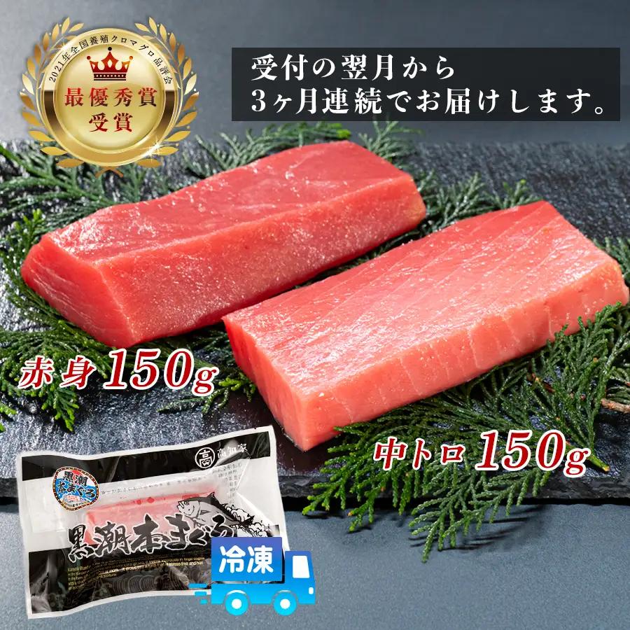 まぐろ マグロ 本鮪 黒潮本まぐろ 中トロ 赤身 定期便 3回 計300g × 3回 刺身 柵 冷凍