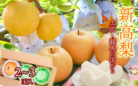 いの町観光協会　原　佐知 〒781-2110 高知県吾川郡いの町1692番9 TEL : 088-893-1211 FAX : 088-893-1205 Mail：kanko@inofan.jp