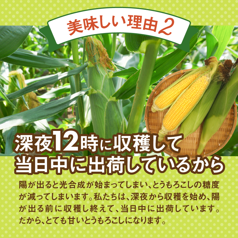 ＼＼★セレクト定期便(月3回お届け)★ 2026年先行予約／／ 富士北麓忍野村の気候、水、自然で作られた朝採りトウモロコシ（セレクト便）《約5kg 10～12本》