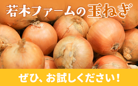 北海道産 玉ねぎ 約5kg サイズ混合 若木ファーム 送料無料  十勝 本別町産《11月上旬から3月下旬頃出荷》