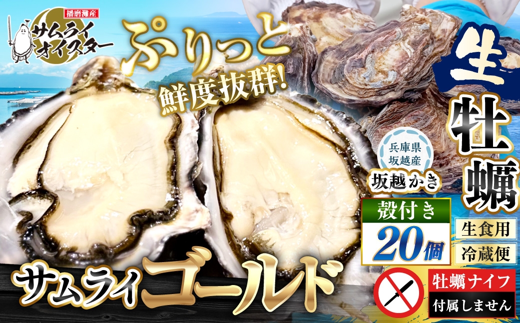 
                  サムライゴールド 坂越産 殻付き生牡蠣 20個 かき カキ 牡蠣 生牡蠣 生がき 生ガキ 殻付き 殻 海の幸 魚介 貝 国産 兵庫県産
                