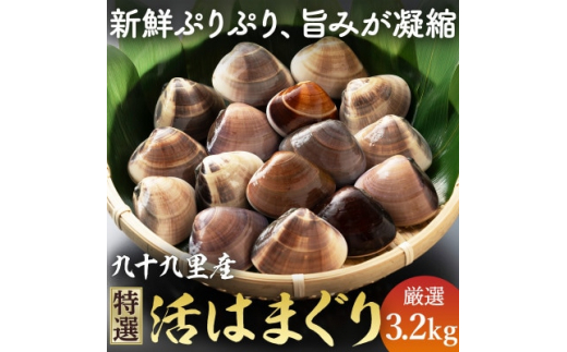九十九里産 活け はまぐり 約3.2kg/34～44個 ≪千葉ブランド水産物認定品≫ 天然 蛤 ハマグリ 活 冷蔵 魚介 魚貝 海鮮  貝  出汁 だし 味噌汁 酒蒸し グラタン 九十九里浜 お祝い 祝い ひなまつり 節句 おせち 贅沢 人気 おすすめ 贈答 ギフト お取り寄せ 送料無料 ふるさと納税  不動丸 千葉県 旭市