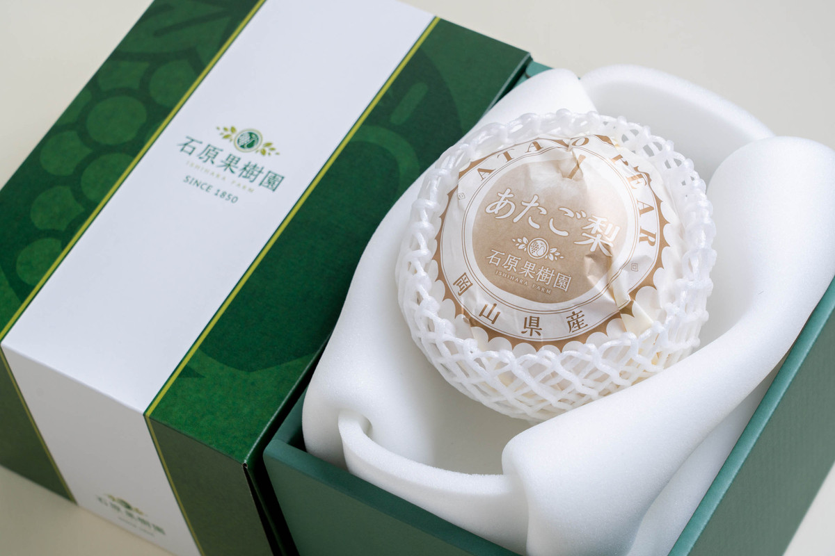 梨 2026年  あたご梨 1玉（約900g） 贈答箱赤秀【ナシ なし 岡山県産 国産 フルーツ 果物 ギフト 石原果樹園】