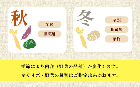 大村産とれたてお野菜おまかせセット(8～10種) 大村市 かとりストアー[ACAN015]