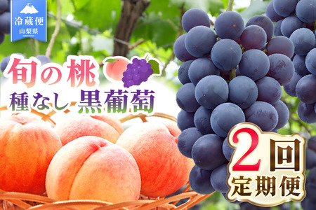 【2026年発送 先行予約】2回定期便 旬のフルーツ定期便（桃2㎏・種無し黒葡萄2～3房）180-009-26y