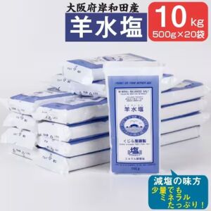 羊水塩 塩 10kg 小分け 500g×20袋 ミネラル