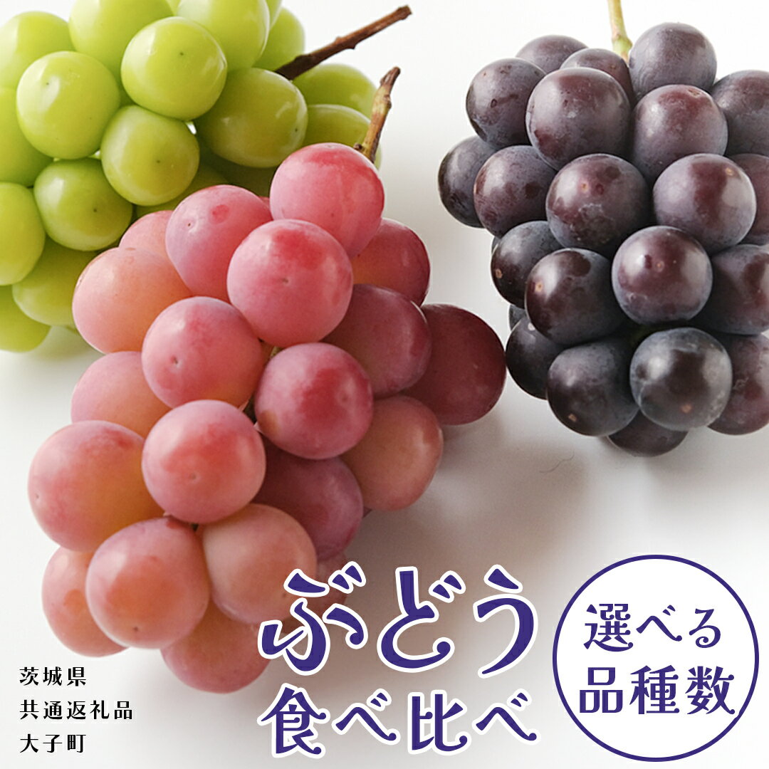【ふるさと納税】《 選べる 品種数 》 ぶどう 3～5品種 食べ比べ 【2025年8月上旬発送開始】(茨城県共通返礼品：大子町) ブドウ 葡萄 シャインマスカット 巨峰 ピオーネ ゴルビー 我が道 果物 フルーツ 果実