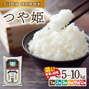 【ふるさと納税】大江町産 つや姫 選べる内容量・配送回数(5kg～120kg) 令和5年産 米 ブランド米 お米 精米 単品 定期便【山形県産 特別栽培米】