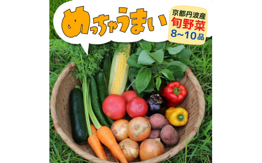 
＜３６９商店＞京都丹波産旬の野菜セット　※全て栽培期間中農薬・化学肥料不使用※
