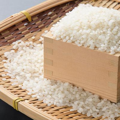 ふるさと納税 長沼町 【特A・1等級】北海道産ななつぼし 白米10kg 北海道長沼町産 |  | 01