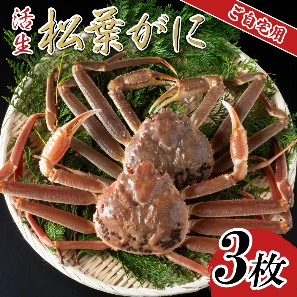 【活生】ご自宅用松葉ガニ 3枚 2026年11月～順次発送予定｜鳥取 日本海 松葉がに 松葉蟹 かに ズワイガニ【22056】