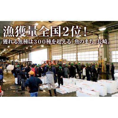 ふるさと納税 佐世保市 【毎月定期便】丸富の干物・西京漬「七福神」【丸富水産】全6回 |  | 02