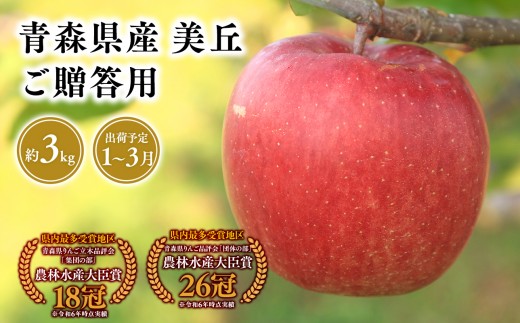 
                  2026年産  1～3月発送　贈答用美丘3kg【青森県 平川市 そと川りんご園】 1～3月発送 贈答 青森 青森県産 平川 りんご リンゴ 林檎 くだもの 果物 フルーツ 
                