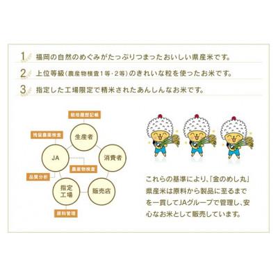 ふるさと納税 福岡市 福岡県産めし丸元気つくし　10kg JU02 |  | 01