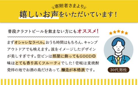 【全3回 定期便 】クラフトビール 地ビール 6本 詰め合わせ（3種類×2本）【ISLAND BREWERY】 《 壱岐市 》[JED018] 48000 48000円