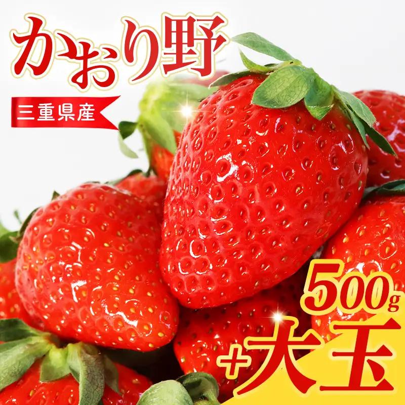 【2月中旬以降発送】 大粒いちご 250g×2P 大粒6～8個 DXパック かおり野 先行予約