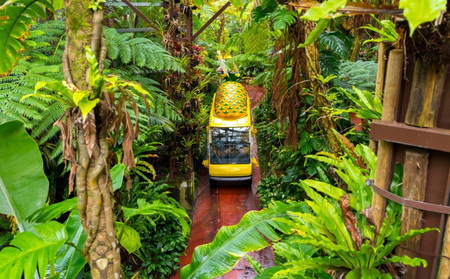 2026年発送【名護パイン園】　タンカン約5kg 先行予約 フルーツ 青果 期間限定 年末 数量限定 みかん 柑橘 沖縄 おきなわ 果実 ギフト 贈り物 子供 デザート 取り寄せ 旬 人気 おすすめ 